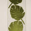 Palm Leaf Square Pillow Cover & Insert-230865956-230865964