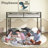 Twin Over Twin Bunk Bed - Lifesky Metal Low Profile Bunkbed With Side Ladder-1227950784