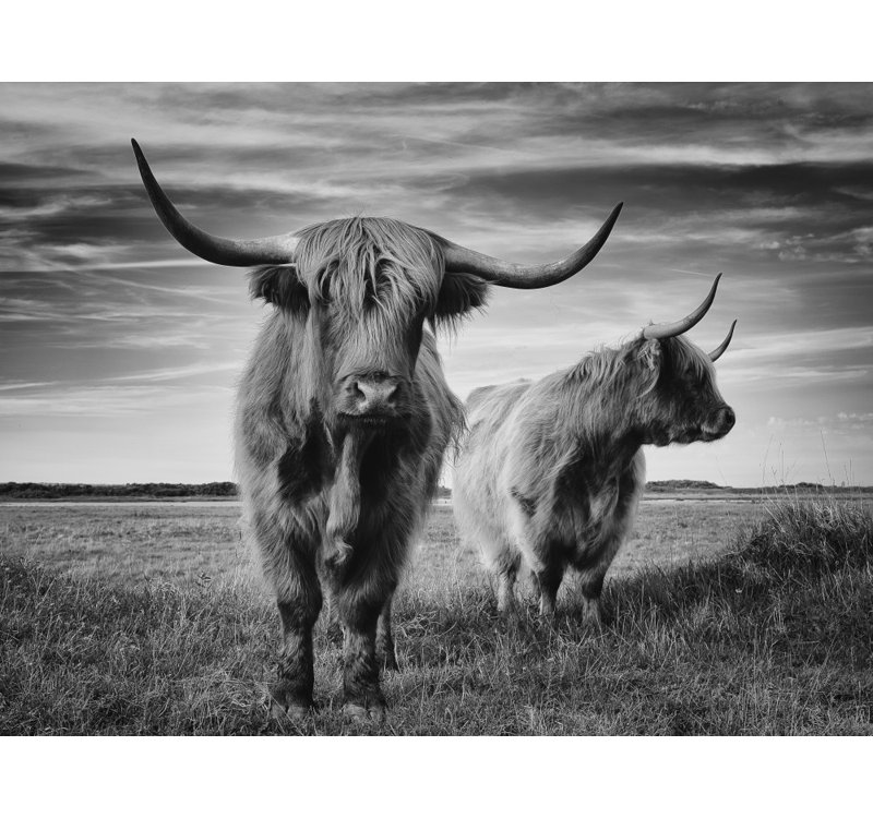 1 Piece Wrapped Canvas Wall Art, 60.96cm H x 91.44cm W