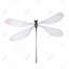 Libellule minimaliste - insecte gris-1014712225-1014712229