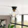 Hitchens Glass Flush Mount
