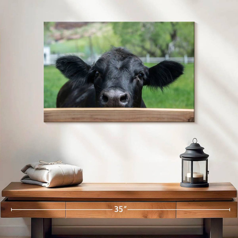 Brampt Nosy Ranch Cow, H 16 po x l 24 po