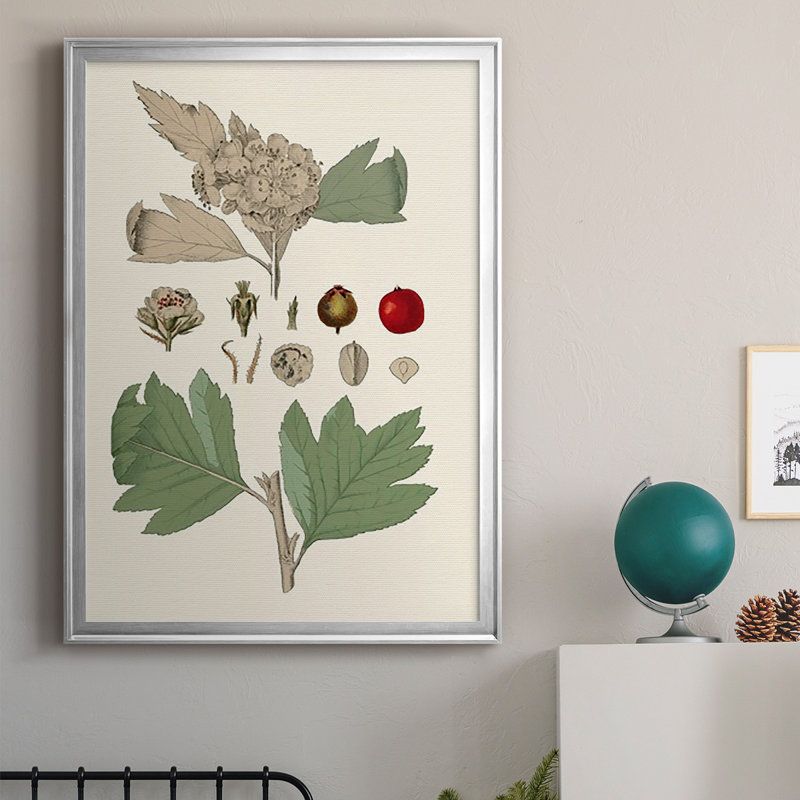 Feuilles et baies IV sur papier, H 42,5 po x l 30,5 po x P 1 po, Argent