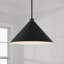 Luminaire suspendu conique à 1 lumière Alden-94399837-94392824