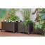Metal Raised Planter