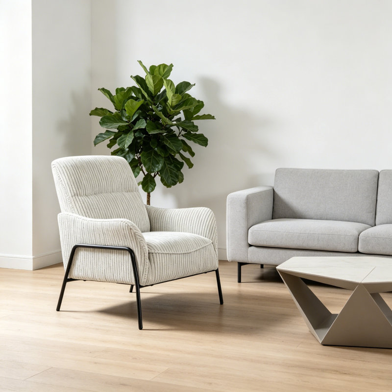 Chaises d'appoint modernes, structure en métal rayé, salon compact à domicile