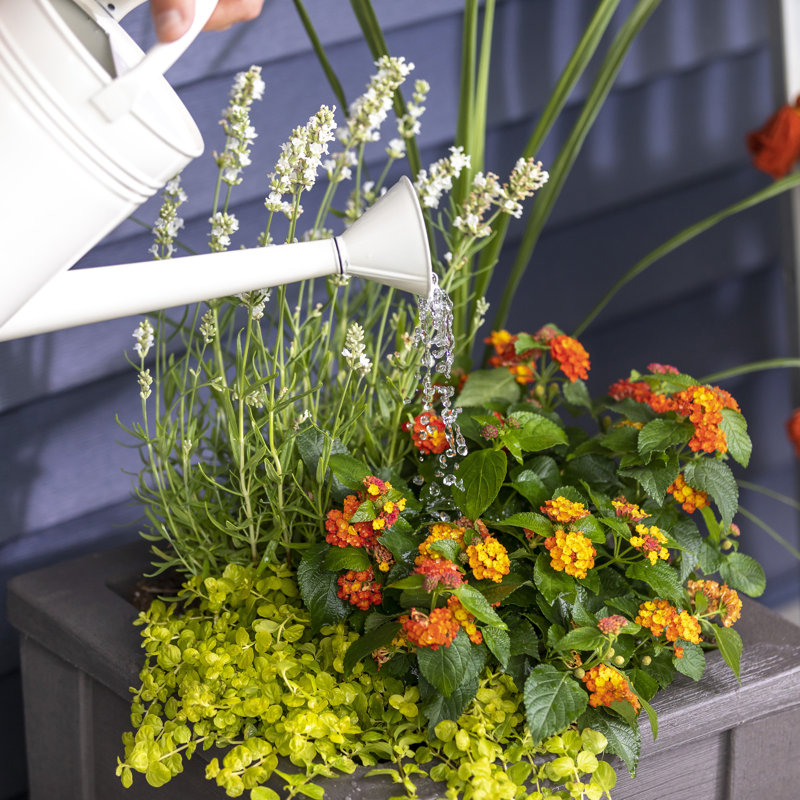 Lakewood Dark Cedar Resin Square Self-Watering Planter Box
