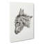 Head of a Donkey by Jean Bernard - Wrapped Canvas-55360187