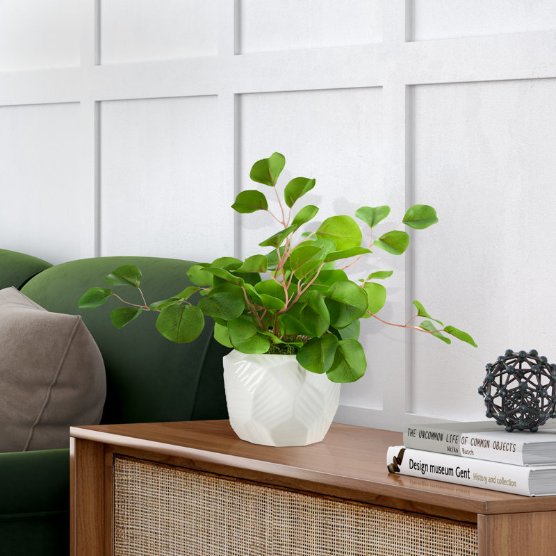 Eucalyptus artificiel 14 po en pot, H 14 po x l 18 po x P 18 po