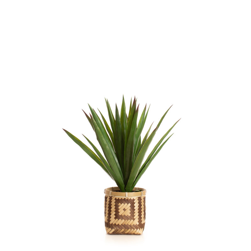 55cm Faux Spikey Plant Bamboo Basket
