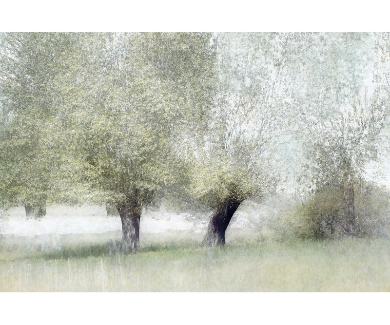 Wrapped Canvas Print, 50.8 cm H x 76.2 cm W