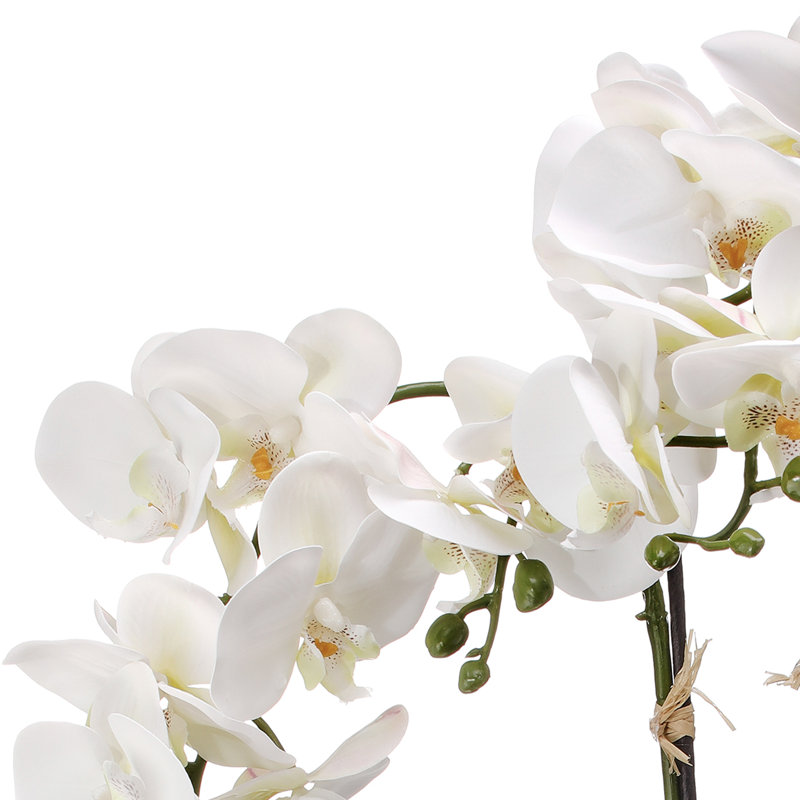 Arrangement d'orchidées en pot chinois