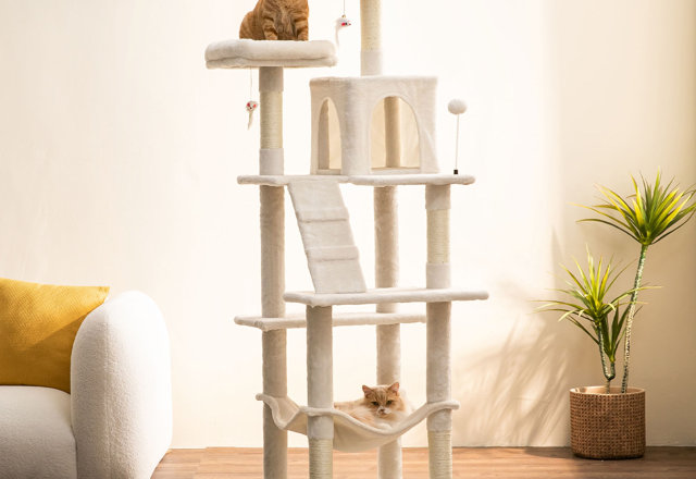 Best-Selling Cat Trees