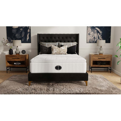 Timeless Snow Day Plush Pillow Top