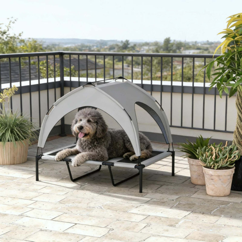 Raised Pet Bed,Elevated Pet Bed,Pet Bed