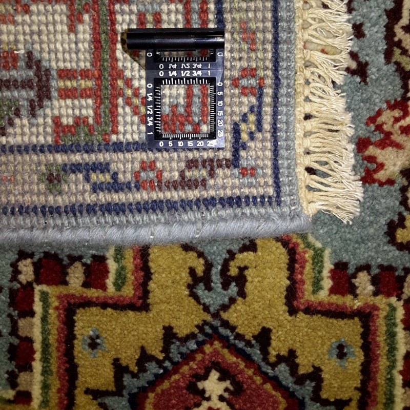 Caeley Oriental Area Rug in Blue