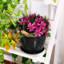 Pot Planter-754651297-754651301-754651322