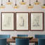 " House Cat IV " 3 - Pieces Painting Print-1705654095-1705654088