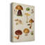 Peinture sur toile Mushroom Species II-979201930