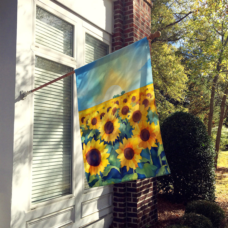 Drapeau de maison en polyester à double face H 40 po x l 28 po