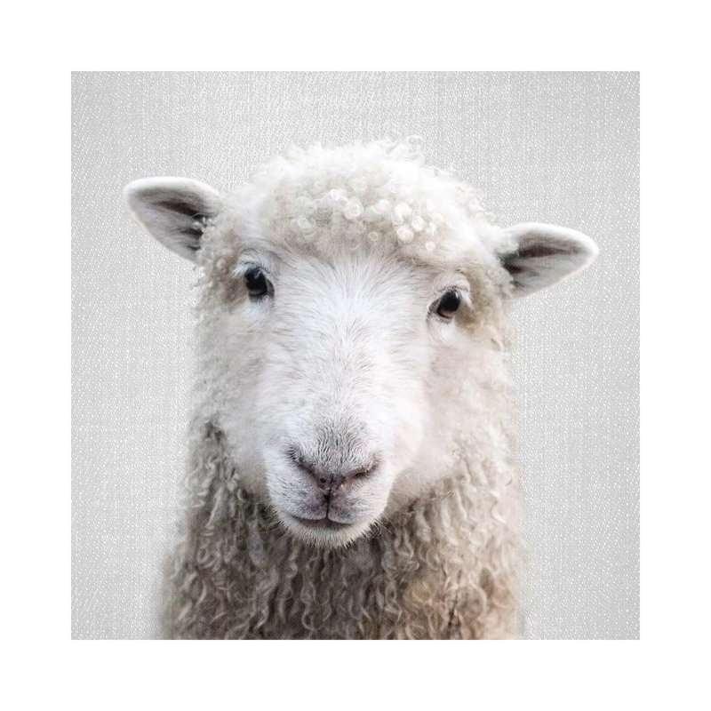 «Sheep» - reproduction de photo, Toile tendue, H 12 po x l 12 po x P 0,75 po