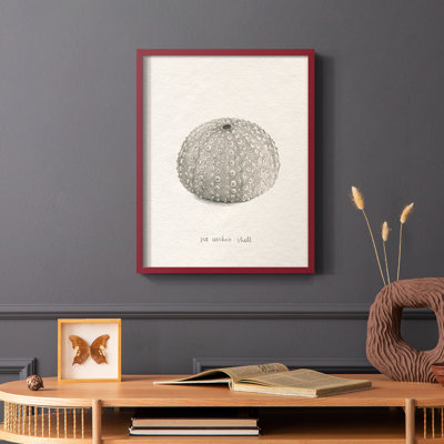Shore Treasure Study I, reproduction encadrée - bois massif