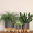 8" PLANTER W/ WOOD STAND-1121862578