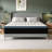 Alwyn Home Timera  Medium Hybrid Mattress-7704319-62865663