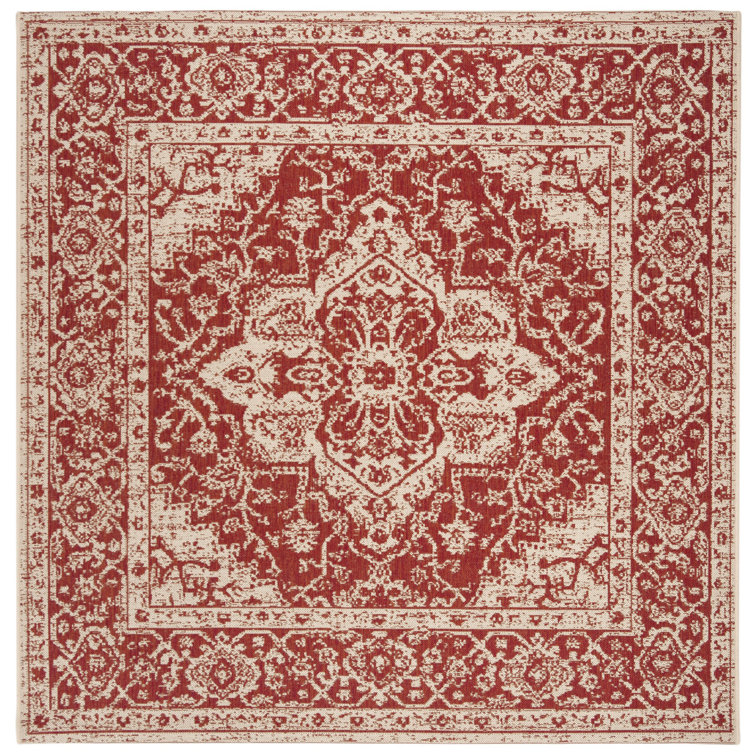 Donivin 100 Performance Oriental Indoor/Outdoor Area Rug