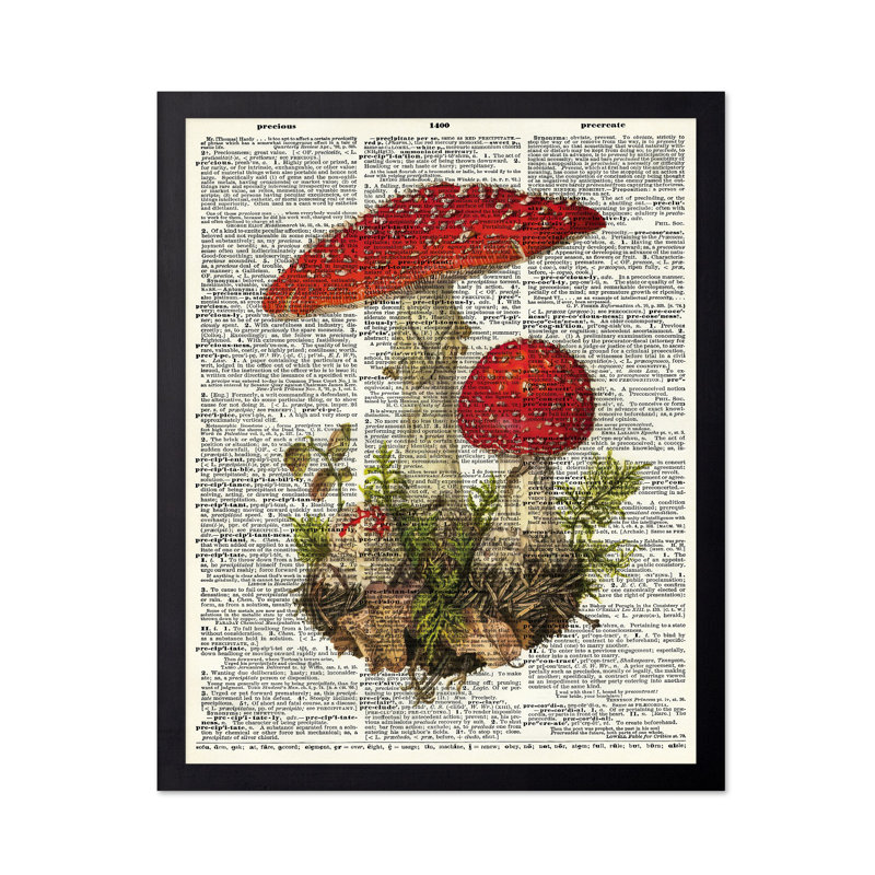 Mouche, gélose et champignon, Sans cadre, Affiche, H 18 po x l 24 po