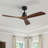 Nicola 52" 3 - Blade Standard Ceiling Fan with Remote Control-42910913