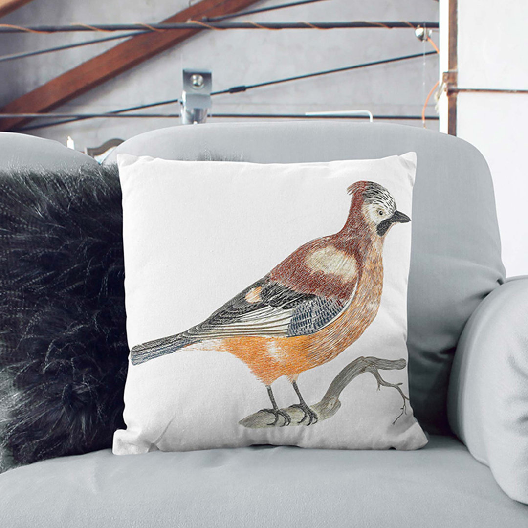 A Jay by Johan Teyler Cushion with Filling