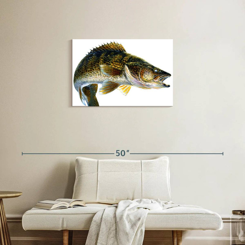 Break Line Walleye, H 20 po x l 30 po