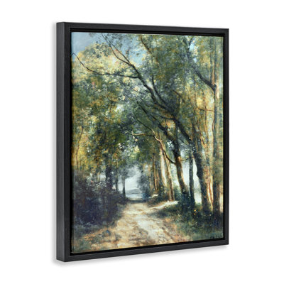 Forest Path Under Tree Canopy