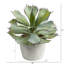 Plante grasse artificielle en pot 11 po