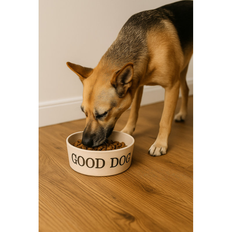 Bol pour animal Good Dog Paw Prints Merge - grand - 5 tasses - brun, Grand (5 tasses)