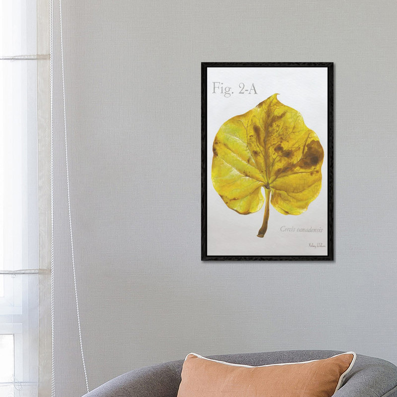 Autumn Leaves On Gray IV-Redbud 1 Piece Wall Art on Canvas, 66.04 cm H x 45.72 cm W, Black Framed