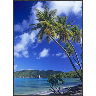 Palm Trees at Maho Bay, Virgin Islands by Tim Fitzharris Framed Photographic Print on Canvas -  Global Gallery, GCF-452105-2432-175