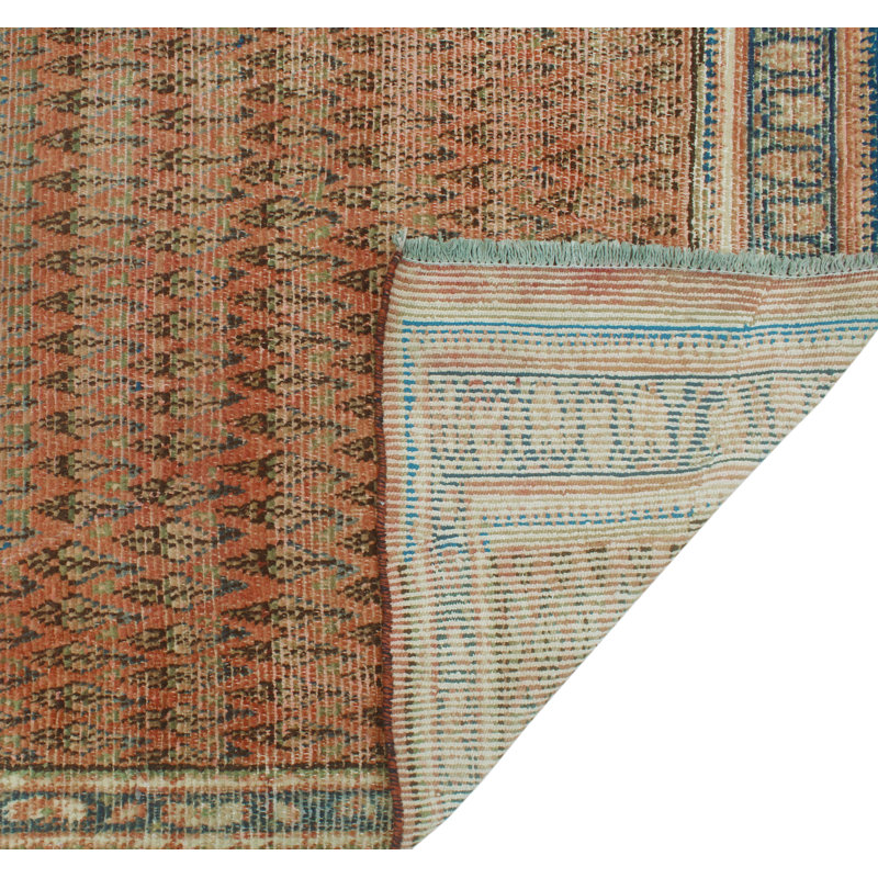 Boleslao Wool Oriental Indoor Rug
