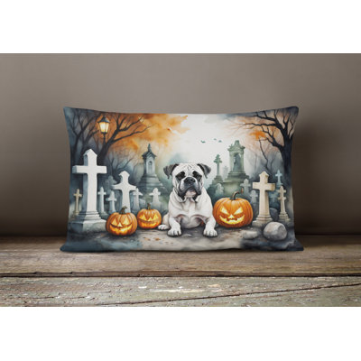 Other/No Pattern Outdoor Throw Pillow