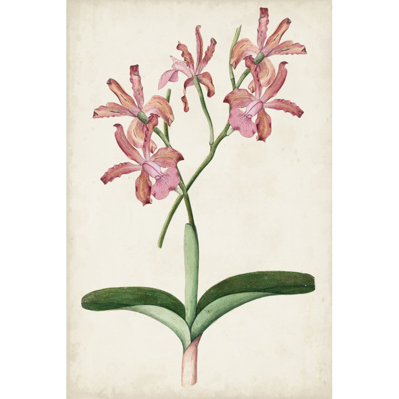 Orchid Pair I - Wrapped Canvas Painting, 122cm H x 81cm W