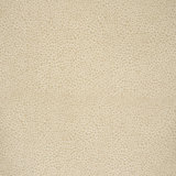 Safari Cotton Fabric
