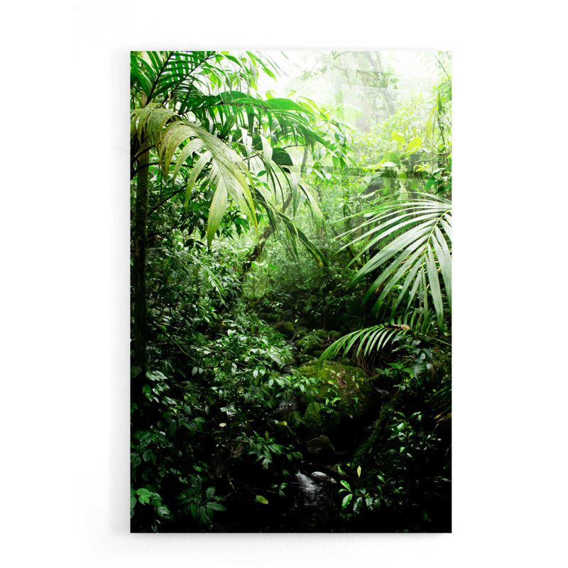 Art mural en verre Bayou Breeze «Misty Rainforest Creek» par Nicklas Gustafsson, H 24 po x l 16 po x P 0,2 po