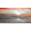 Parvez Taj - Wrapped Canvas Print-16671794