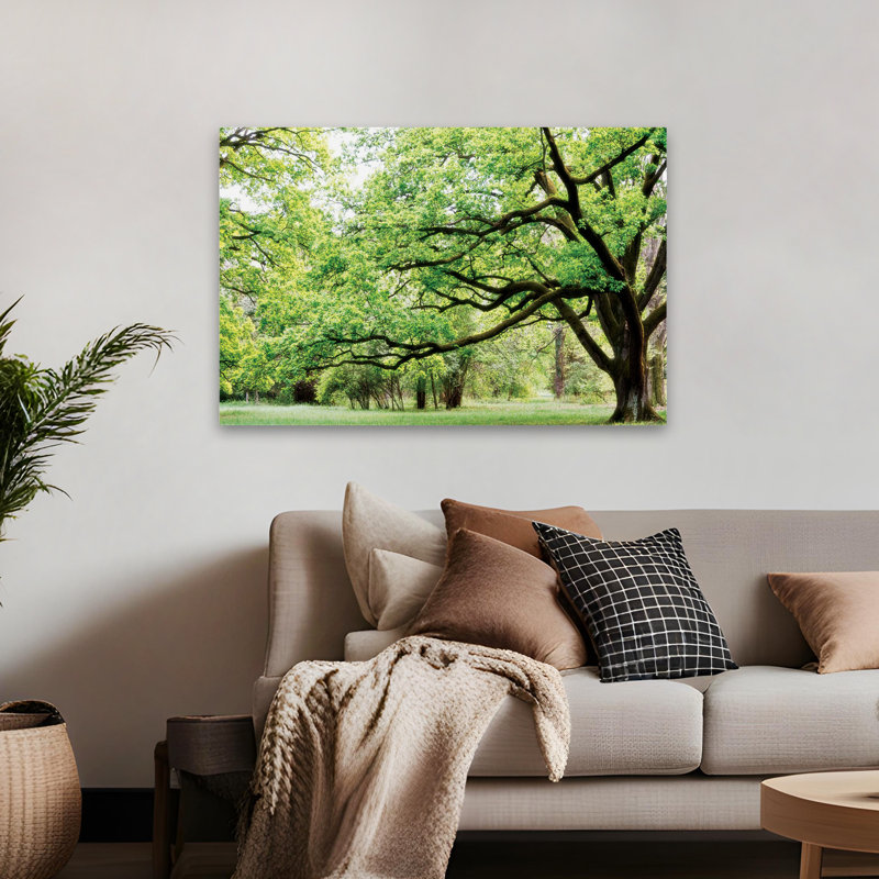 Green Woods 4 - Paysages, photographie, arbres, art, H 32 po x l 48 po