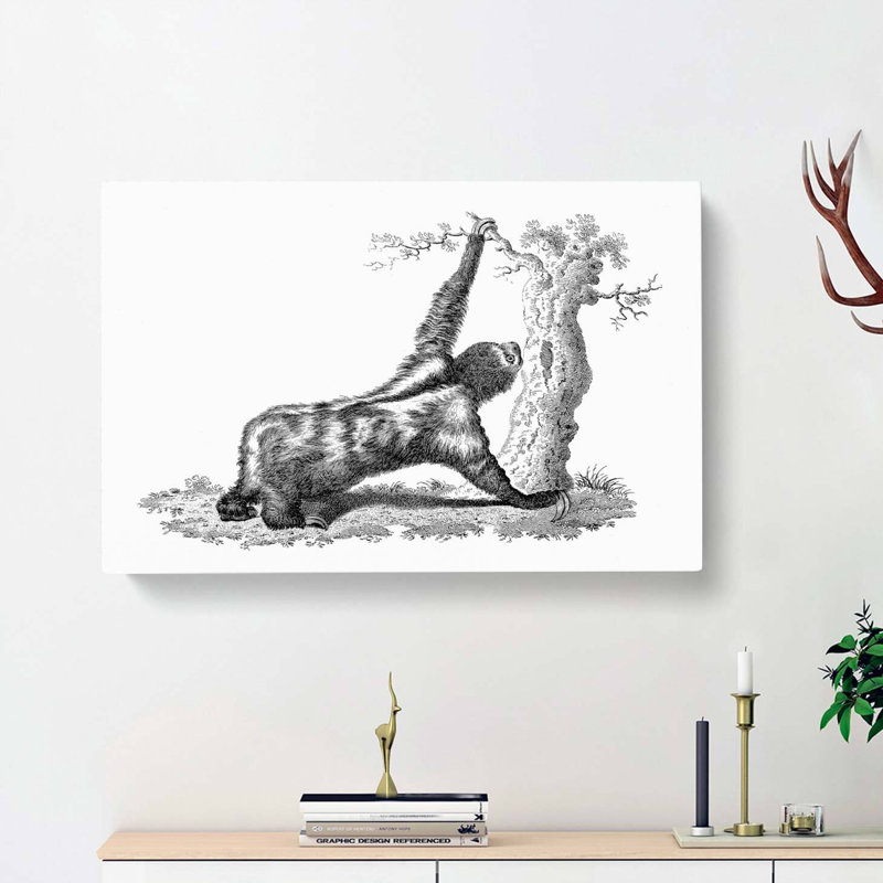 Three-toed Sloth In Black & White by George Shaw - Wrapped Canvas, 35cm H x 50cm W x 3cm D