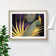 Captivating Peacock - Single Picture Frame Print