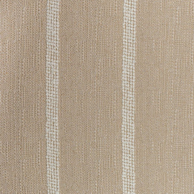 Winners Circle IV Fabric