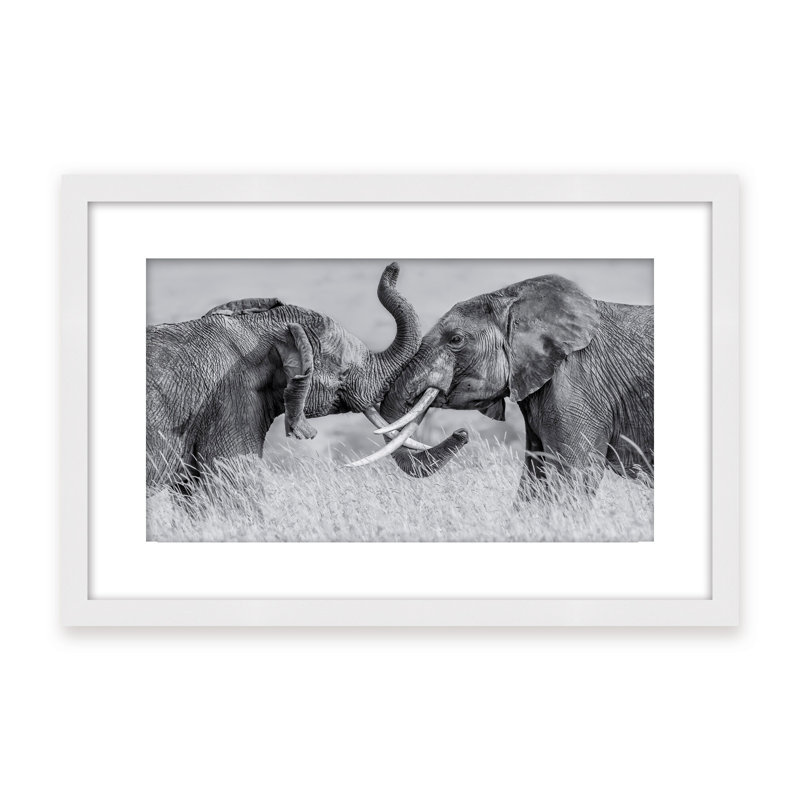 Nature Inspired Elephant Tai Chi by  - Picture Frame Photograph on Paper, 24" H x 36" W x 2.375" D, Framed Canvas, Beige