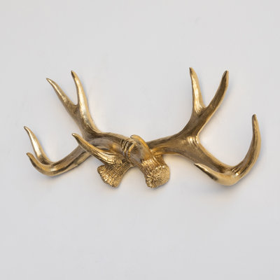 Bellefonte Resin Wall Wall Hook